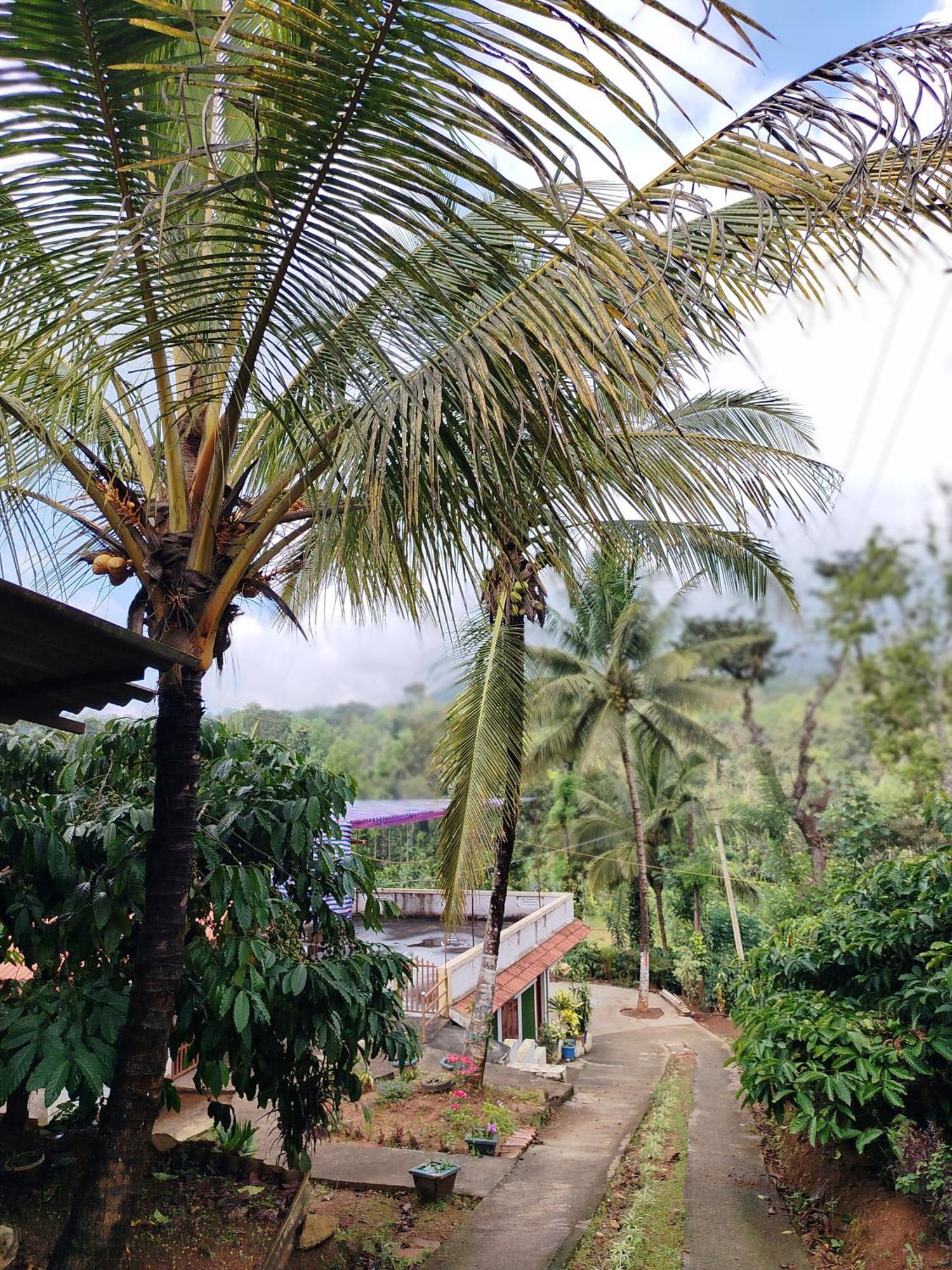 Shivalaya Homestay, Madikeri Siddāpur Zewnętrze zdjęcie